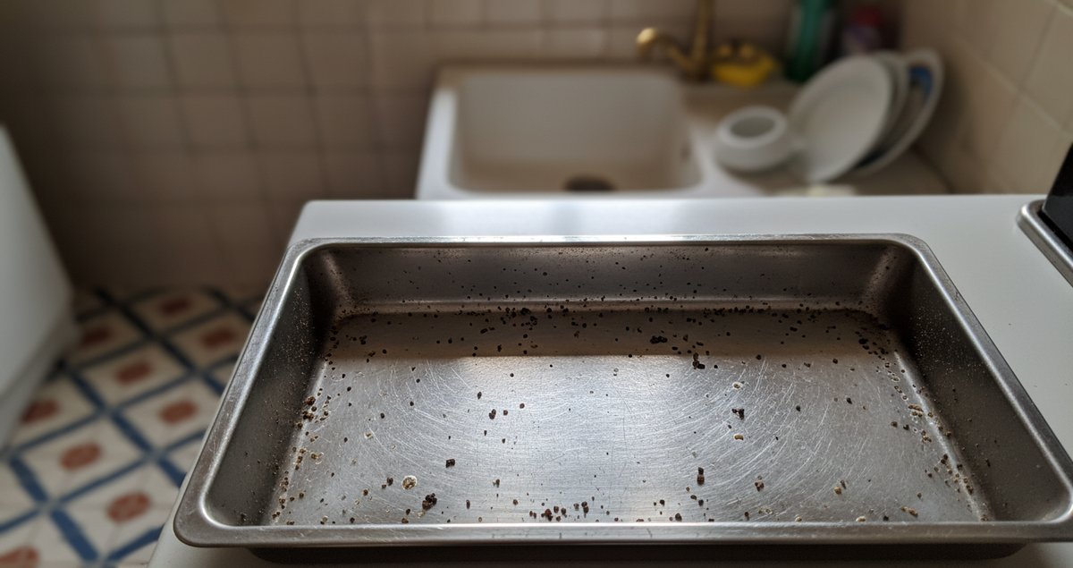 dimenticano-drip-pan-frigorifero-odori