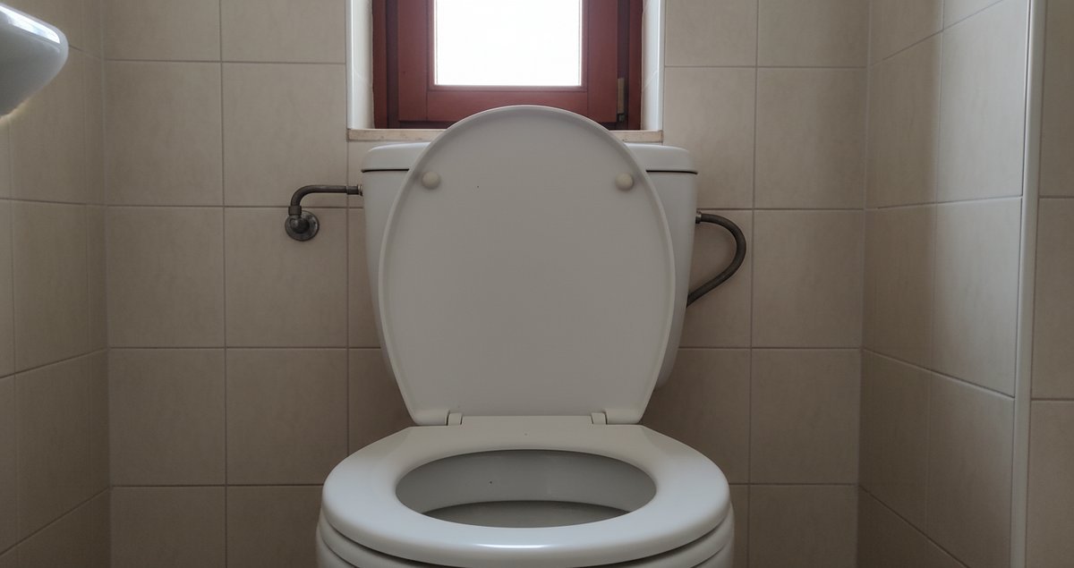 rissa-sul-wc-risolta-sedile-su-o-giu-cosa-consigliano-gli-esperti