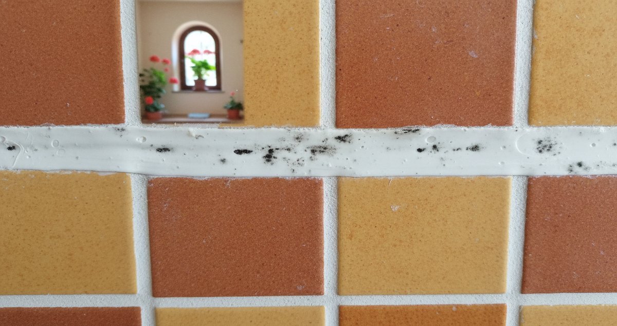 muffa-sigillatura-bagno-si-stacca-facilmente