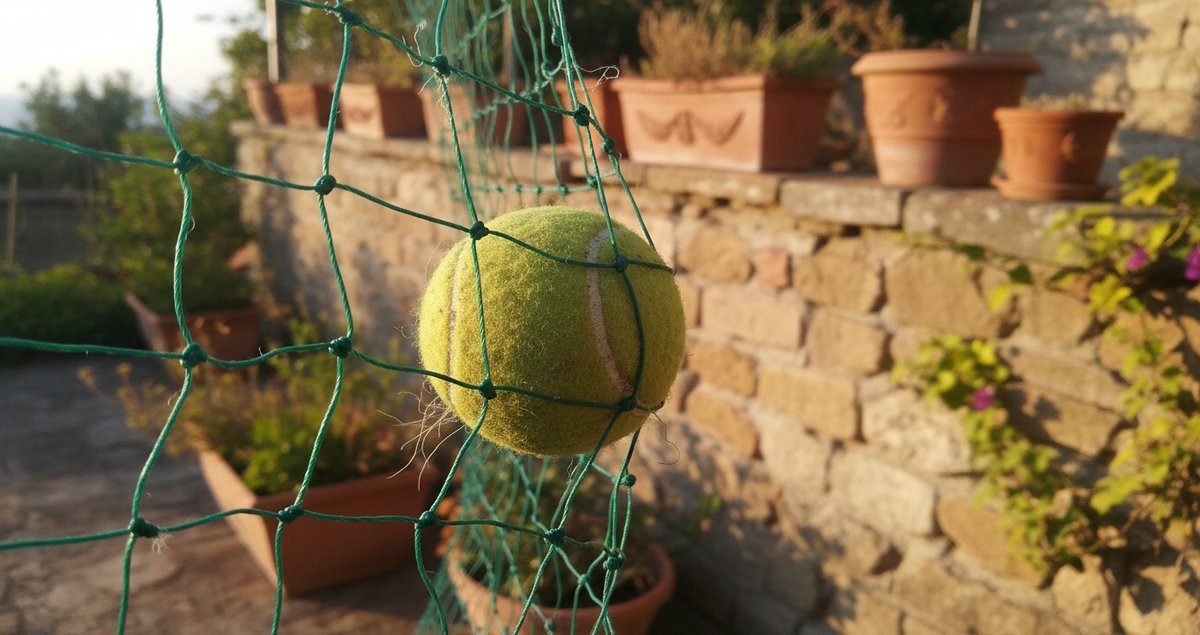 tennis-balls-in-the-garden-trucco-invernale-salva-uccelli-ricci